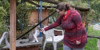 Sarah Krämer mit einer der Katzen, die im Tierheim derzeit betreut werden. Foto: Heiko Rebsch